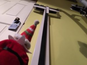 elf on the shelf fitness