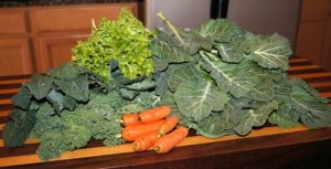 Folate rich foods for lower risk of Alzheimers