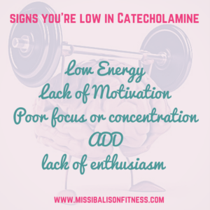 catecholamine perimenopause brain