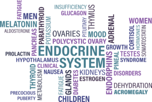 hormone balance